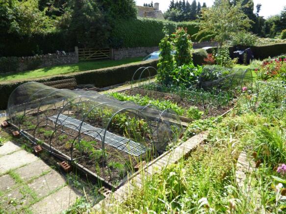 Kitchen garden