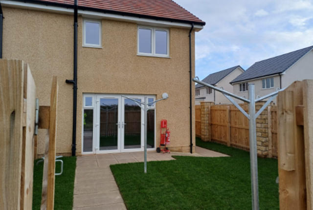 Back Garden