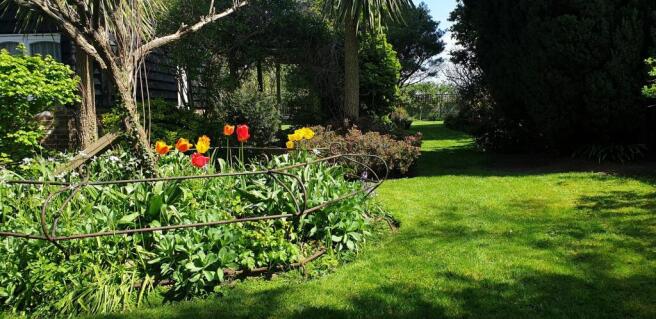 Garden (16)