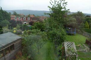 View from Sun Room