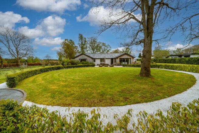 Garden area
