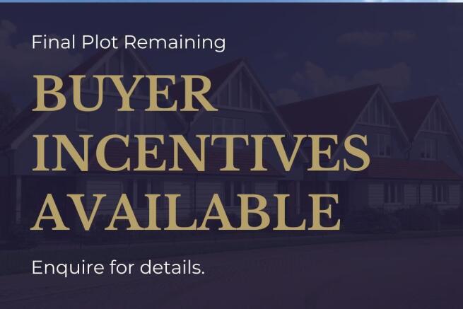 Buyer Incentives.jpg