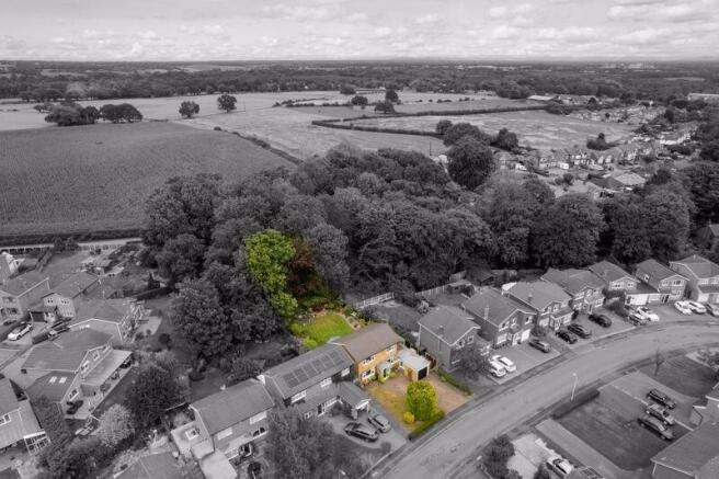 Aerial (Plot)