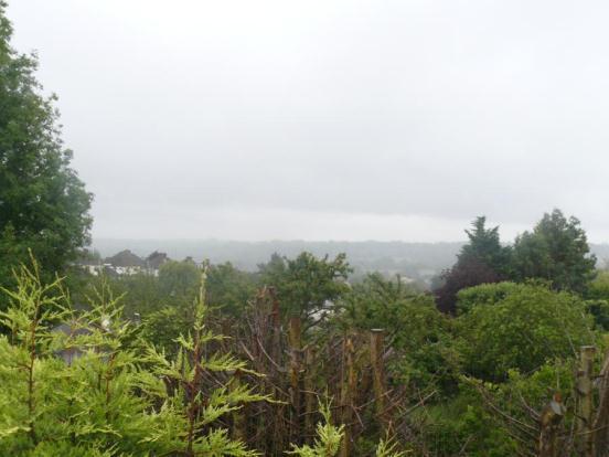 View From Bedroom