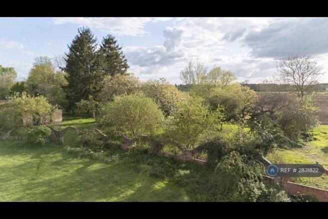 The Orchard Early April 26
