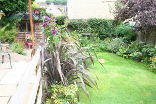 Remainder Of Garden