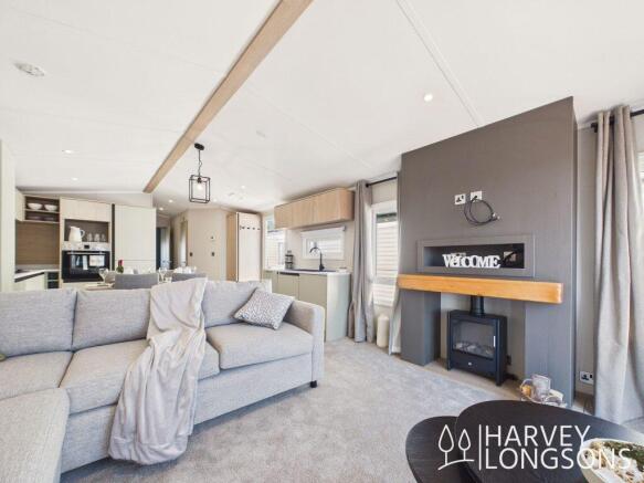 Modern lounge with electric fire in Victory Arling