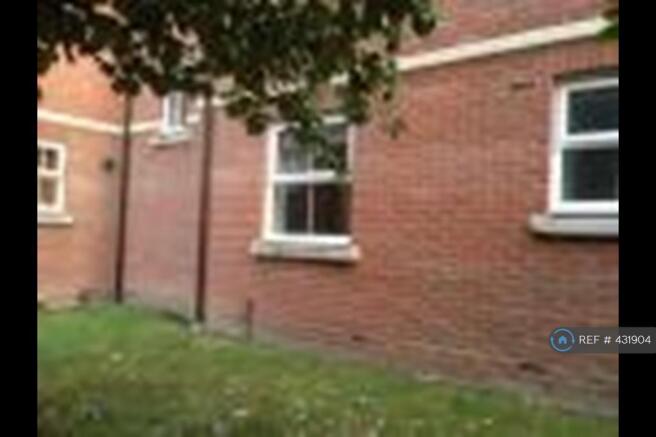 Back Garden