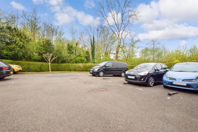 Driveway/Parking