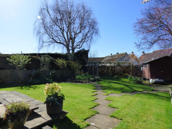 Photo 15
