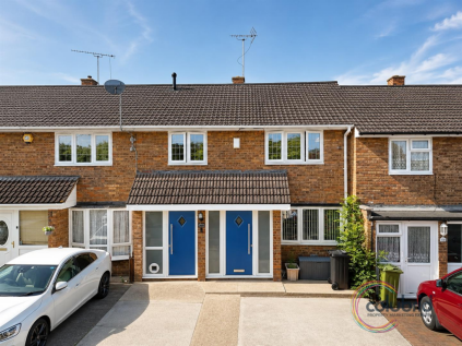 Great Gregorie, Basildon