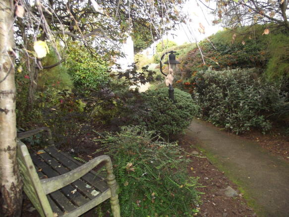 Photo 10