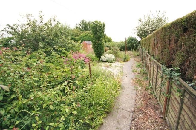 Garden 1
