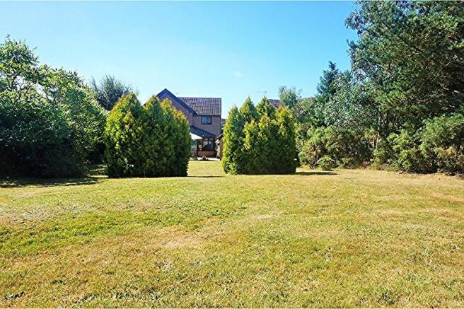 Large Garden