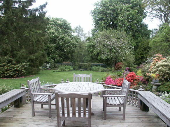 Photo 8