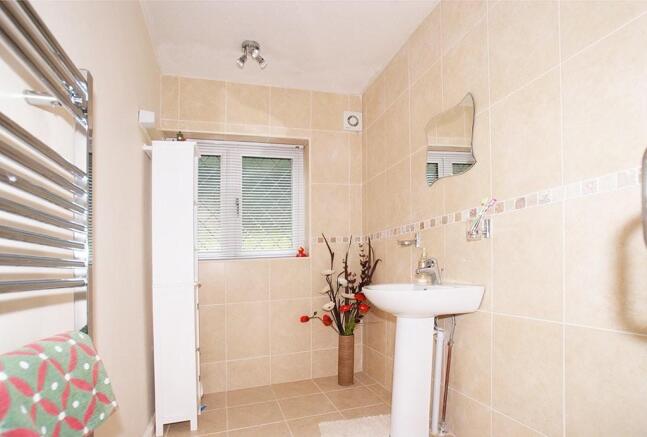 Photo 11