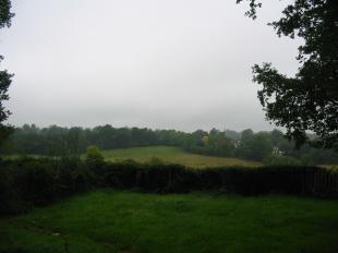 Garden Views
