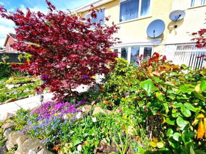 Vale View, Blackwood, Caerphilly (County of), NP12