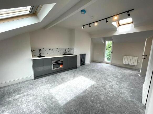 850.pagespeed.ce.vY8tKFXNze (1).jpg