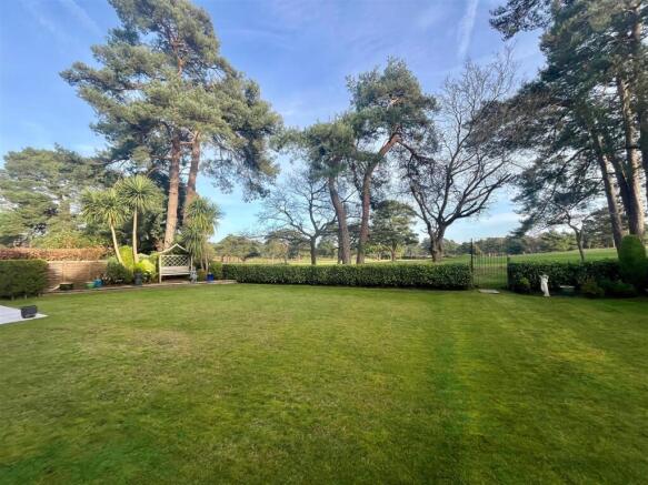 garden 3.jpg
