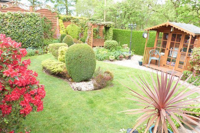 garden.