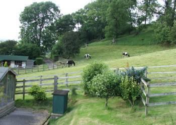 Side Paddocks