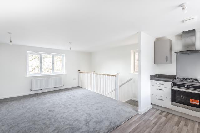 Kitchen / Living Area