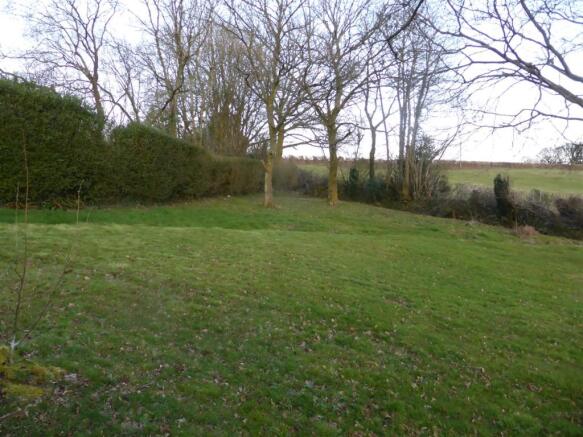 REAR PADDOCK