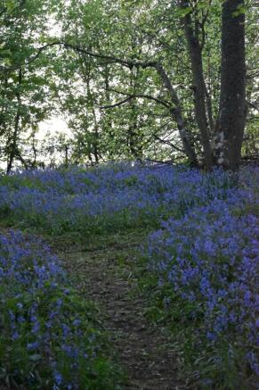 Photo 47