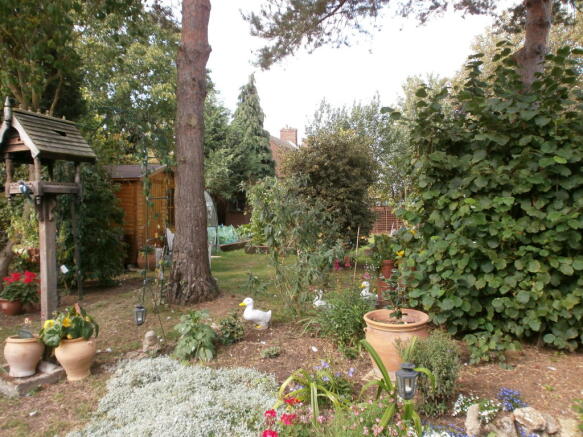 Photo 10