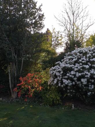 Mature Garden