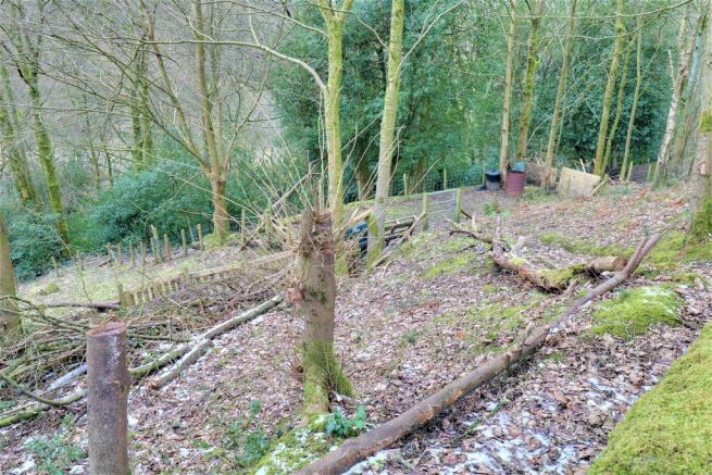 Woodland