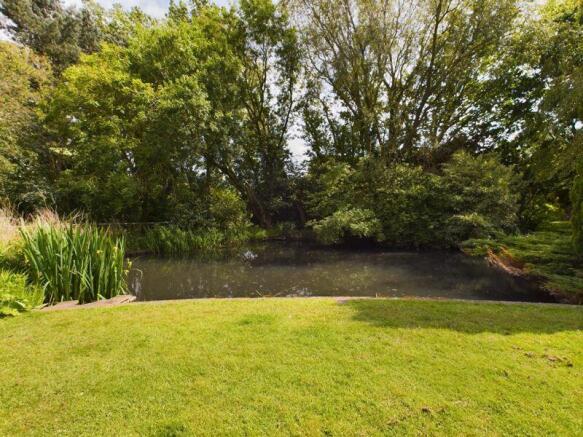 Pond