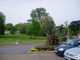 Photo 3