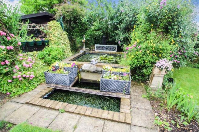 The Garden Pond