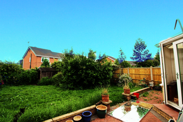Back Garden 