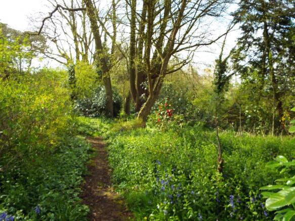 Woodland walk