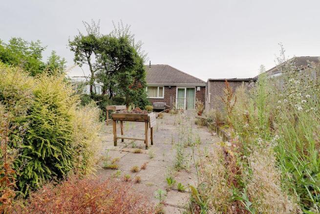 Garden at Back