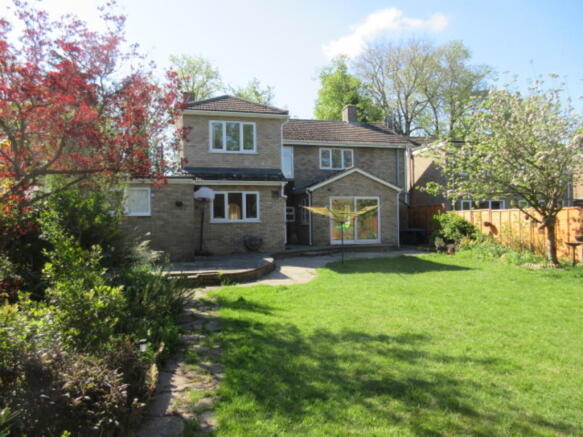 Back Garden