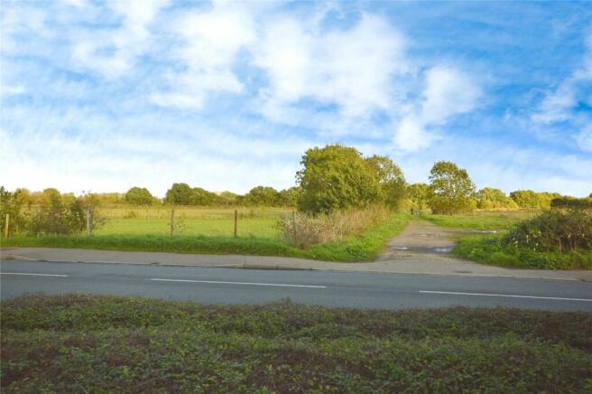 Lifestyle:Local walk