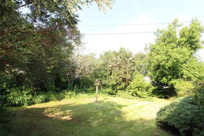 New garden.JPG