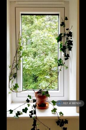 View Outside