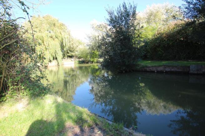 pond