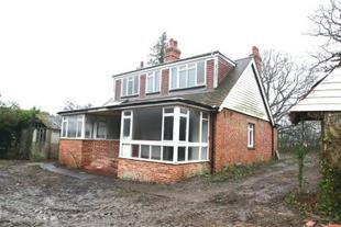 Rear Elevation