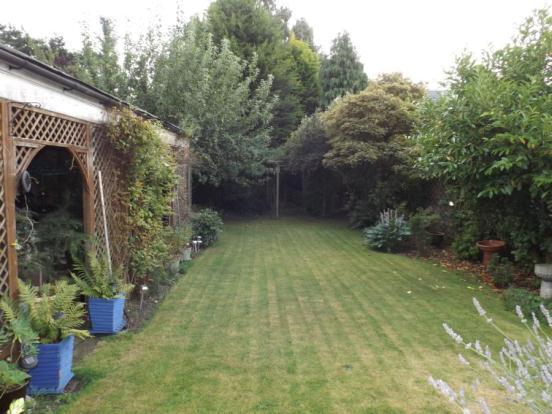 Garden 2