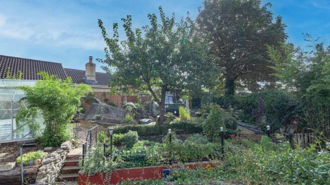 View of Garden from Bedroom Window