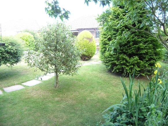 Photo 15