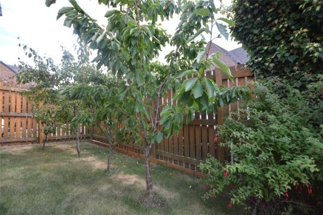 Fruit Tree Selection