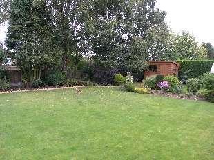Grounds