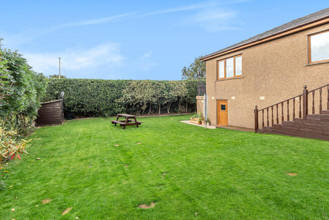 Back Garden 
